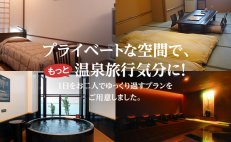 「日帰り入浴+お部屋」プラン