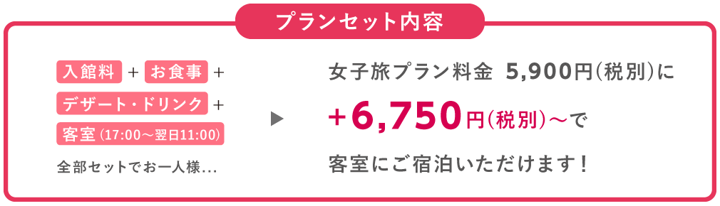 プランセット内容