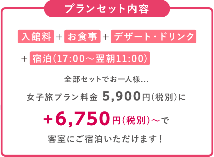 プランセット内容