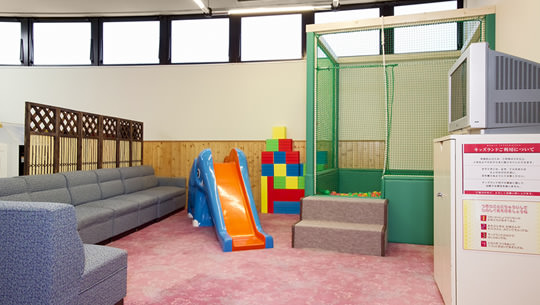 Kids Play Center and Ball Pool