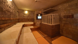 DRY SAUNA