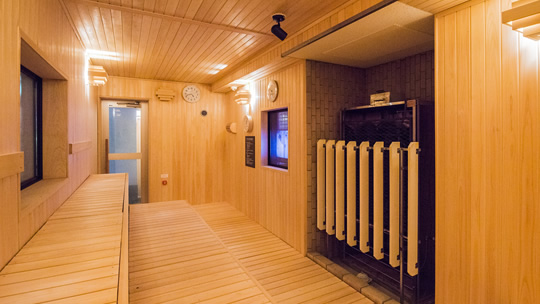 Finnish Hot Steam Sauna