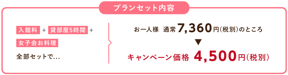 プランセット内容お一人様13000円
