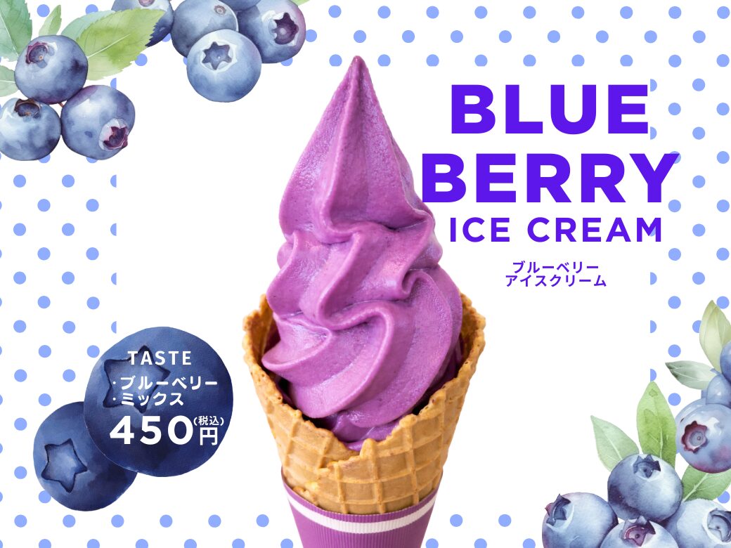🍦ブルーベリーソフト登場🍦