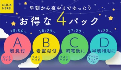 お得なパック4プラン