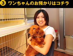 ③ワンちゃんのお預かりはコチラ