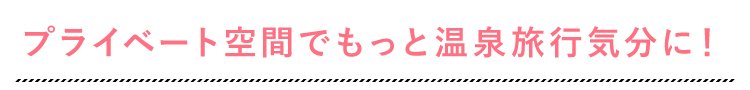 日帰り休憩プラン