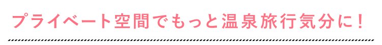 日帰り休憩プラン