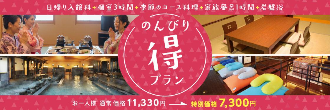のんびり得プラン