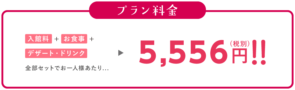 プランセット内容