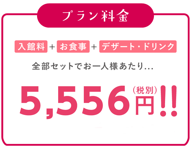 プランセット内容