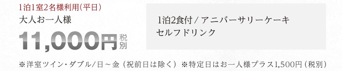 大人お一人様10,800円(税別)
