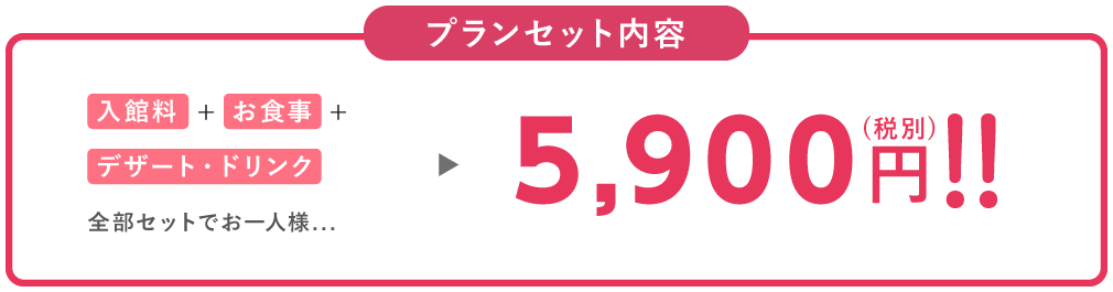 プランセット内容