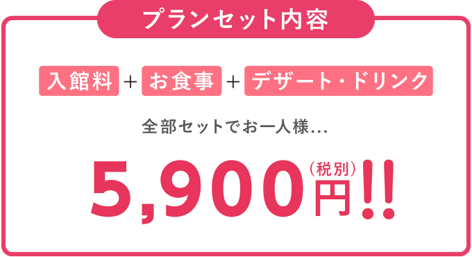 プランセット内容