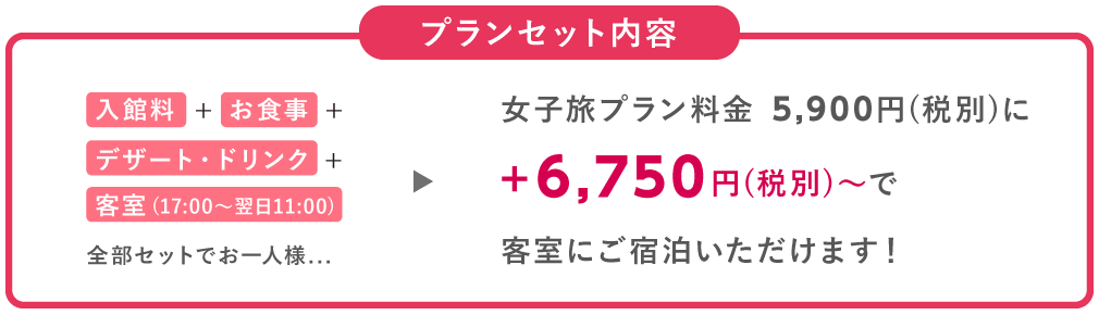 プランセット内容