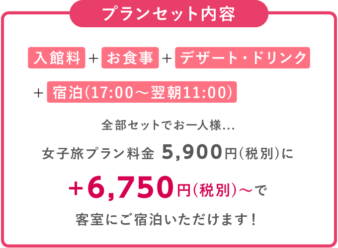 プランセット内容