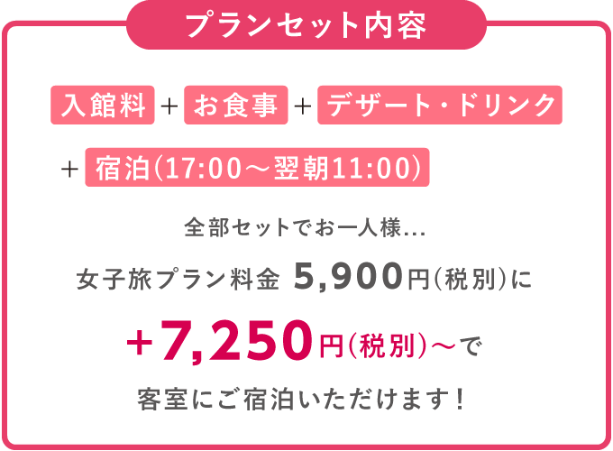 プランセット内容