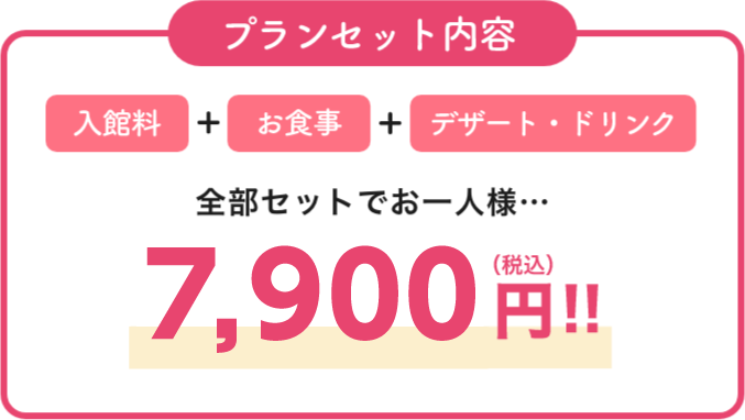 プランセット内容