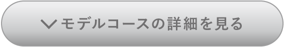 モデルコースの詳細を見る