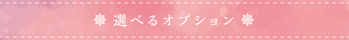 選べるオプション