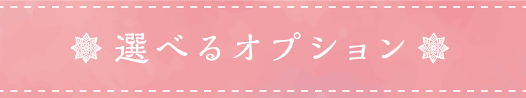 選べるオプション