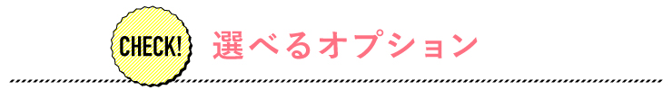選べるオプション