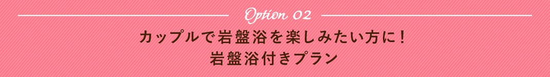 オプション2