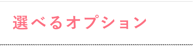 選べるオプション