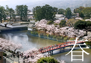 小田原の春 小田原城と桜