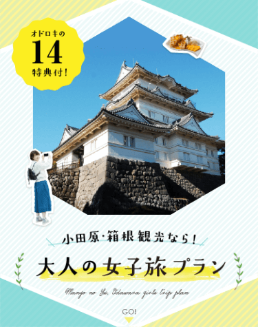 大人の女子旅プラン