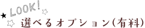 選べるオプション(有料)