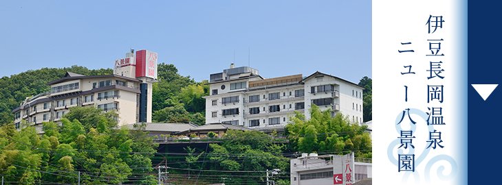 伊豆長岡 ニュー八景園